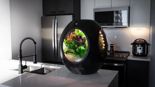 5 Must-Have Home Gadgets in 2025