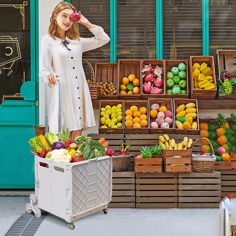 Lightweight Trolley Folding Shopping Cart