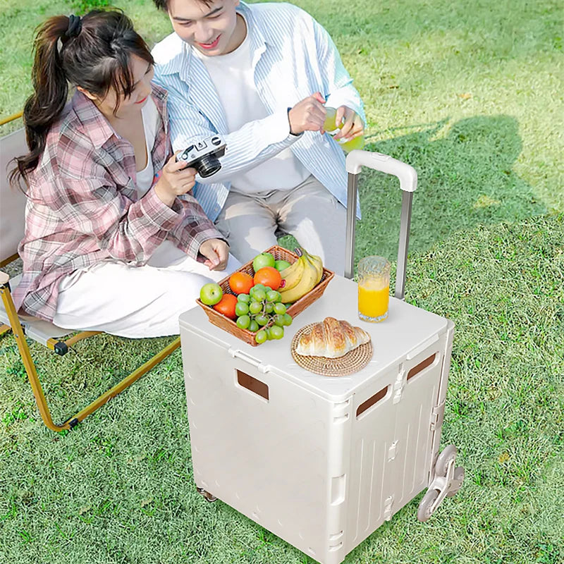 Lightweight Trolley Folding Shopping Cart
